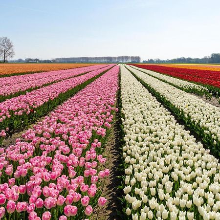 Vakantiehuis De Wilgenhof Wetering المظهر الخارجي الصورة