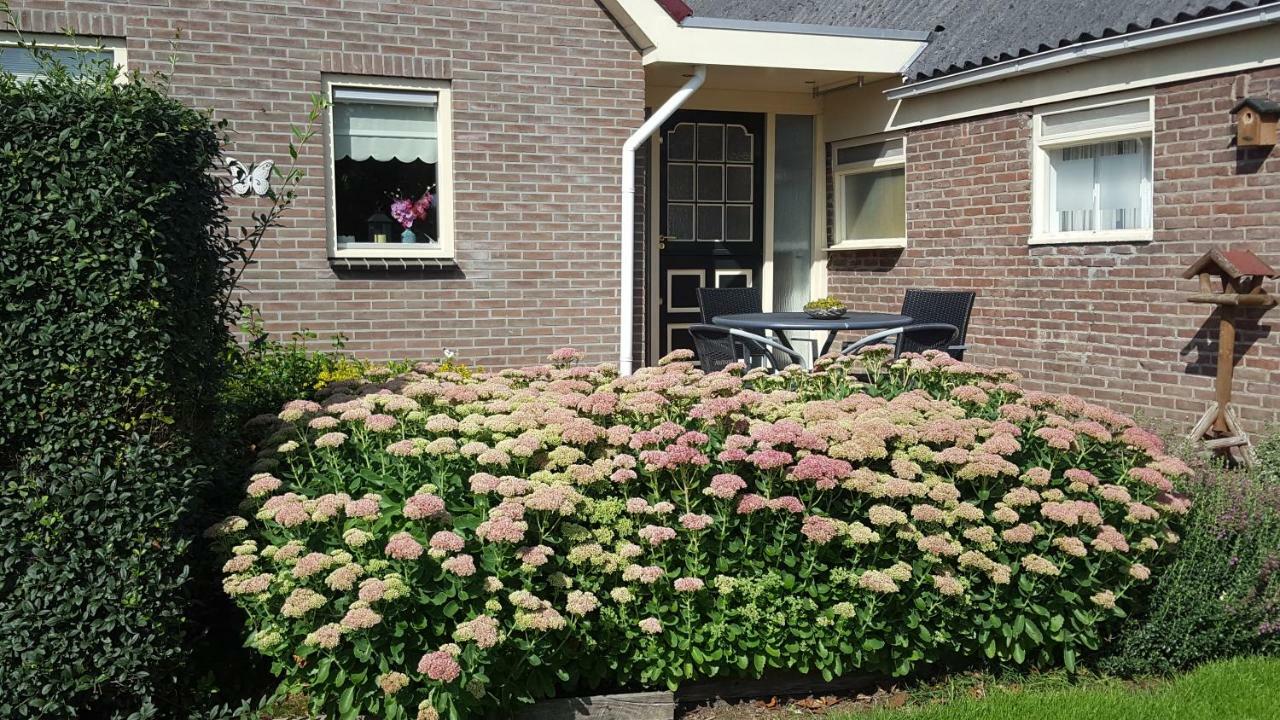 Vakantiehuis De Wilgenhof Wetering المظهر الخارجي الصورة